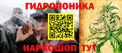 соль ск Пугачёв