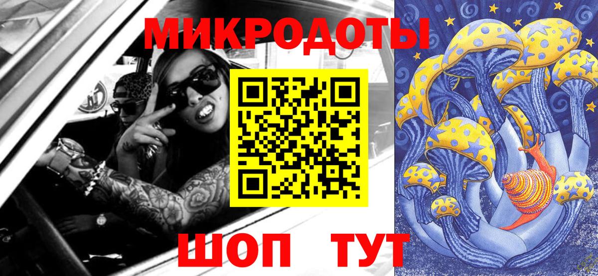 Псилоцибиновые грибы Cubensis Петрозаводск